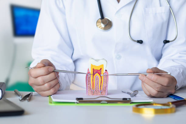Best Walk-In Emergency Dentist in Butler, MO